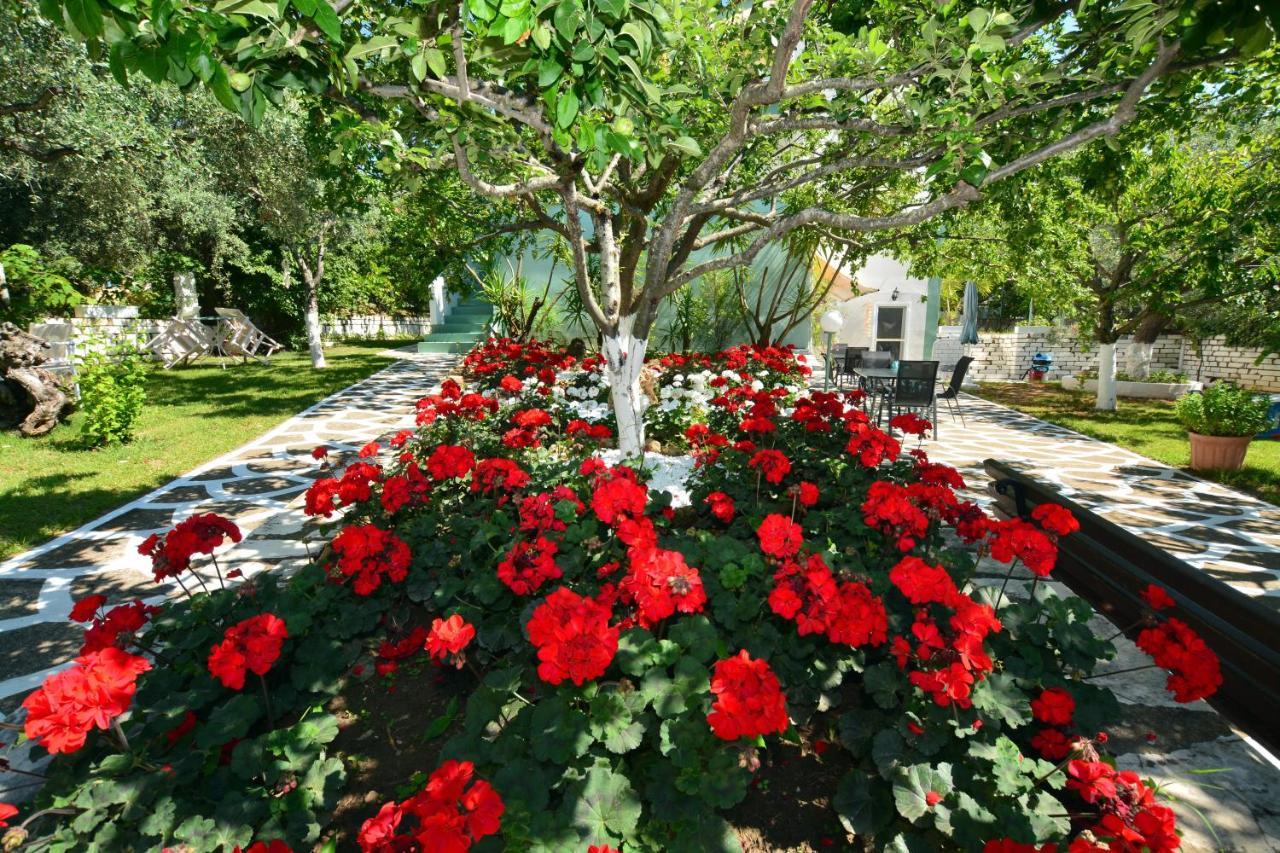 Villa Emilia Pachis  Dış mekan fotoğraf